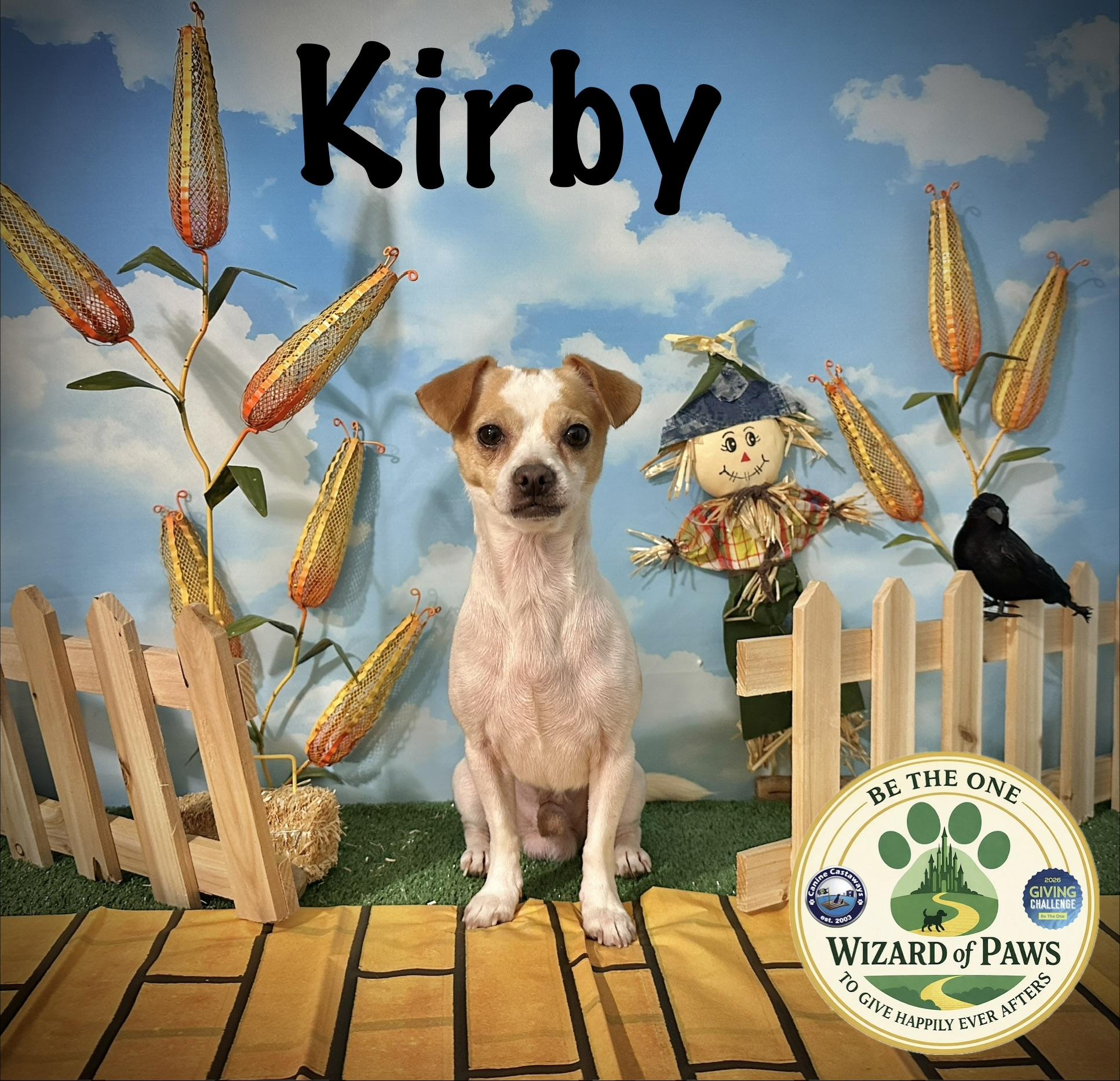 Enlarge Kirby, a ADOPTABLE mixed breed in Arcadia, FL image 2/2