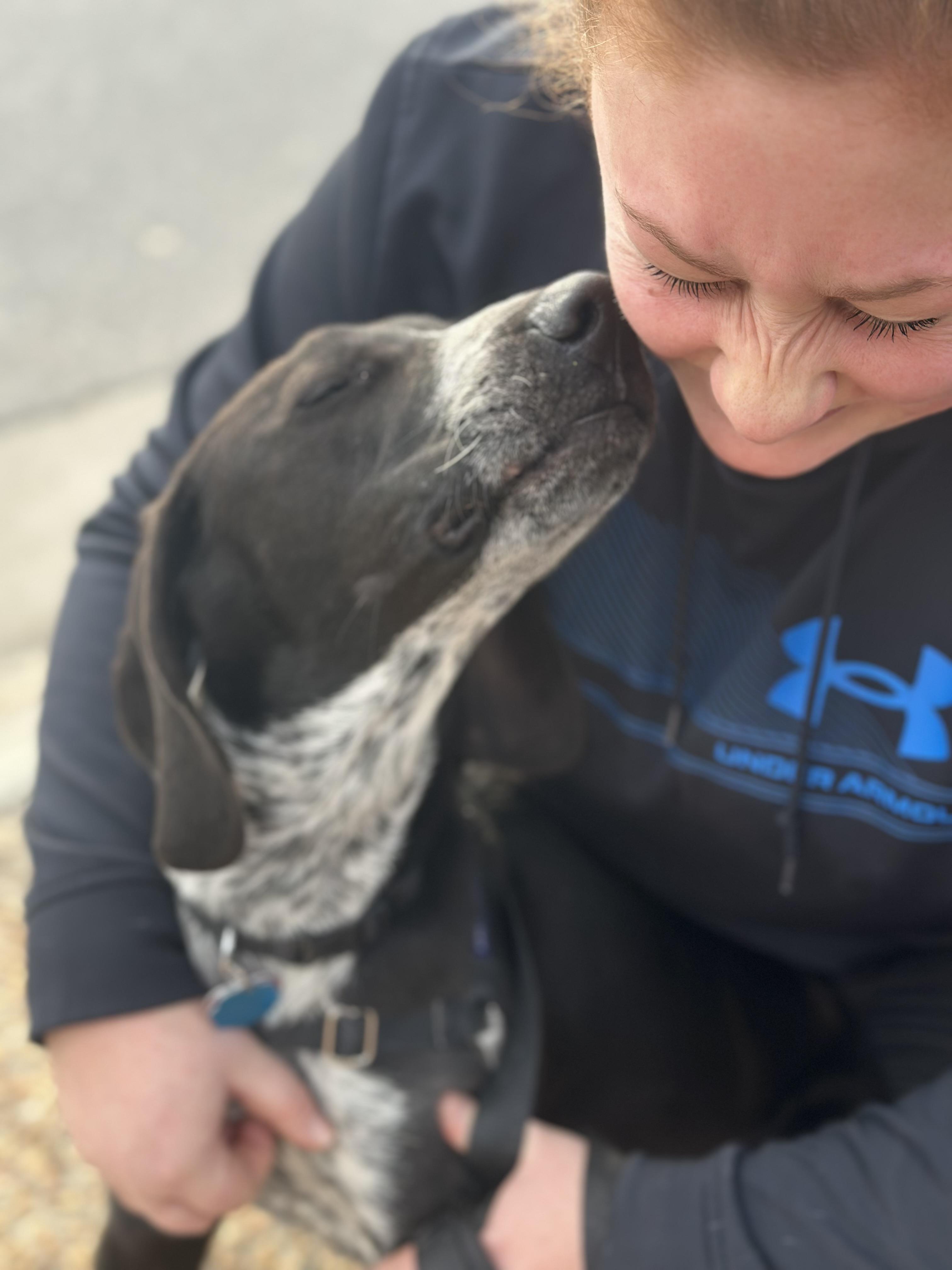 Enlarge Tofu, an adoptable Mixed Breed in Gloucester, VA image 6/6