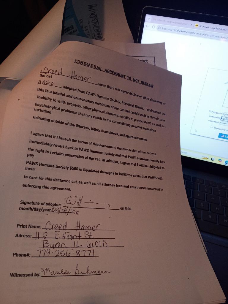 Argo, a Adopted mixed breed in Rockford, IL image 1/6