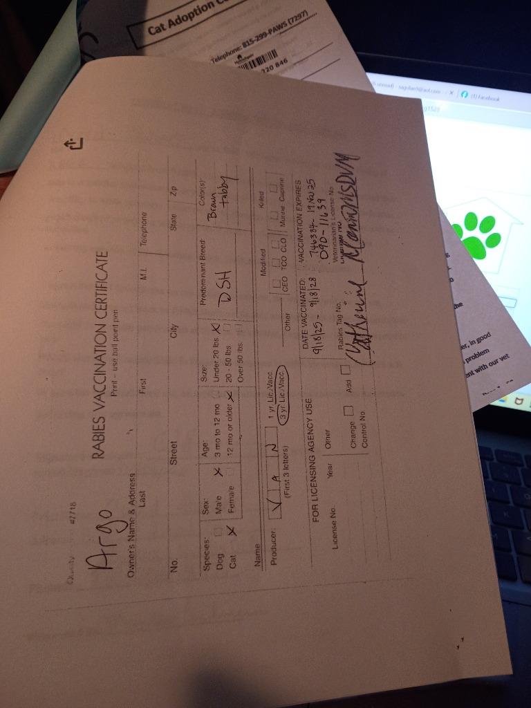 Argo, a Adopted mixed breed in Rockford, IL image 3/6