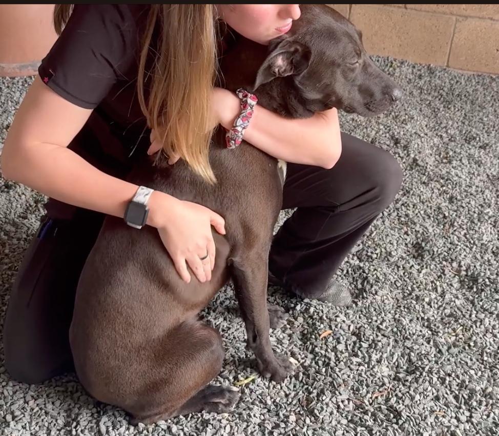 Adopt me! I'm lovable Bindy!