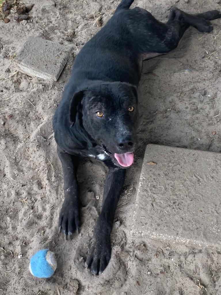 Brielle — thumbnail 4