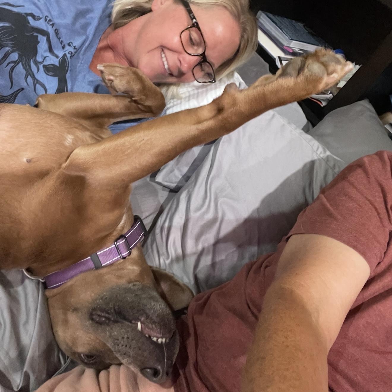 Enlarge Poppy, a Adoptable Staffordshire Bull Terrier in Santa Monica, CA image 4/6