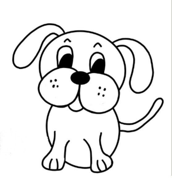 Dog Application, Adoptable, Adult Male Terrier.