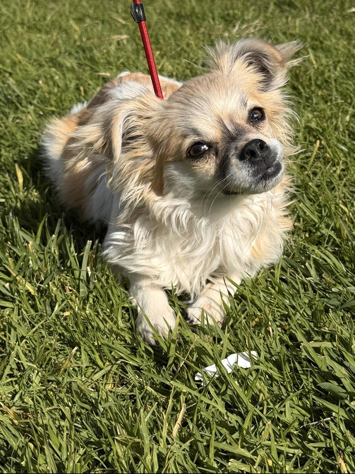 Mariposa — thumbnail 2