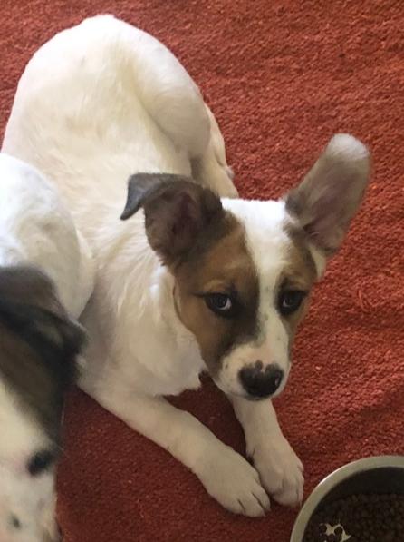 Aloha — thumbnail 6