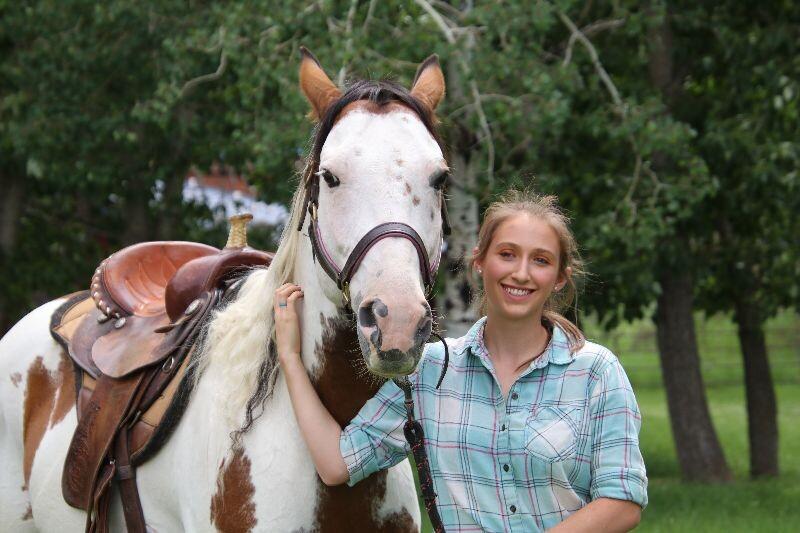 Enlarge Dice, a Adoptable Paint / Pinto in Scotland, SD image 3/6