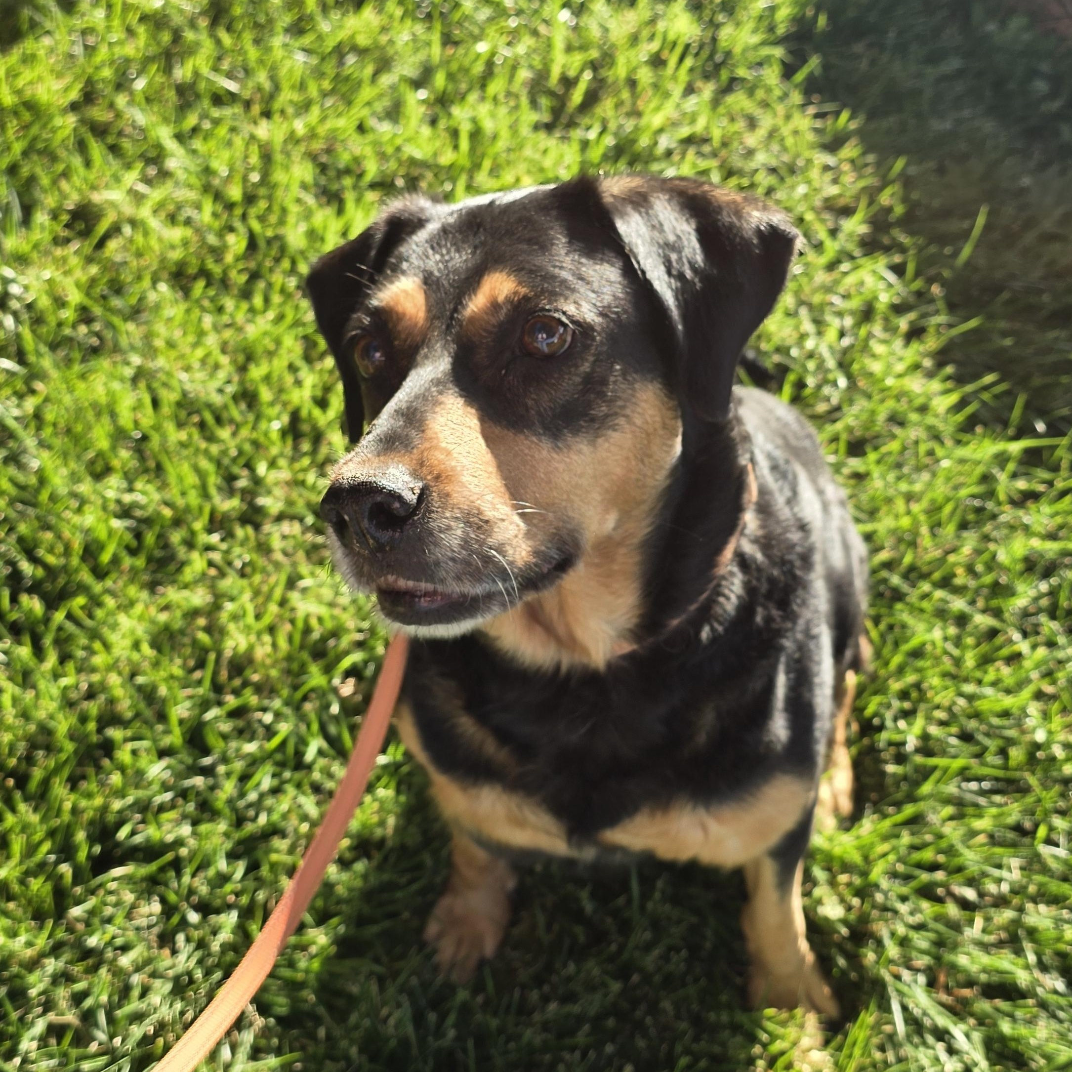 Maggie photo