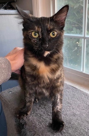 Loretta — thumbnail 2