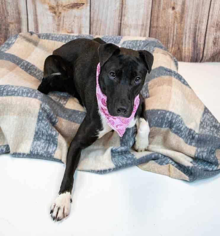 Katya — thumbnail 2