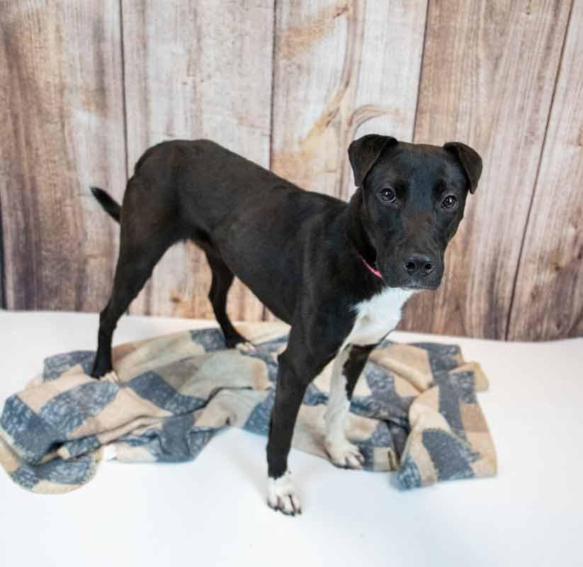 Katya — thumbnail 3