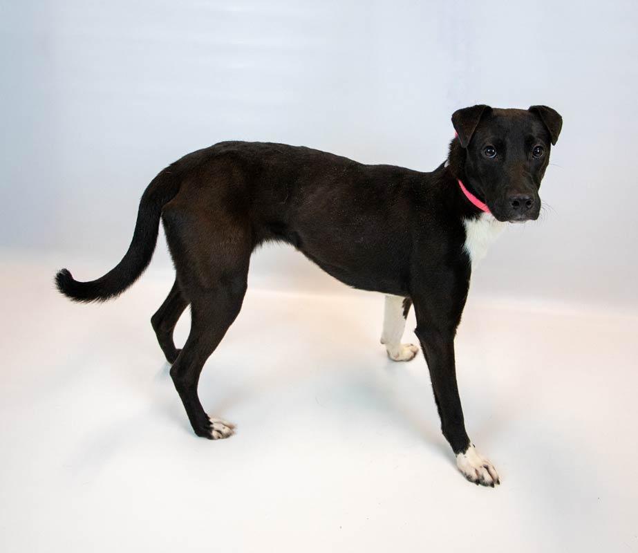 Katya — thumbnail 4