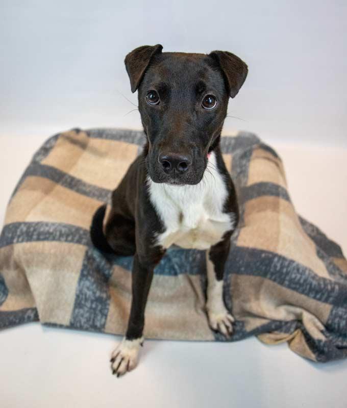 Katya — thumbnail 6