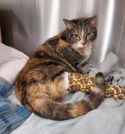 Cory — thumbnail 2