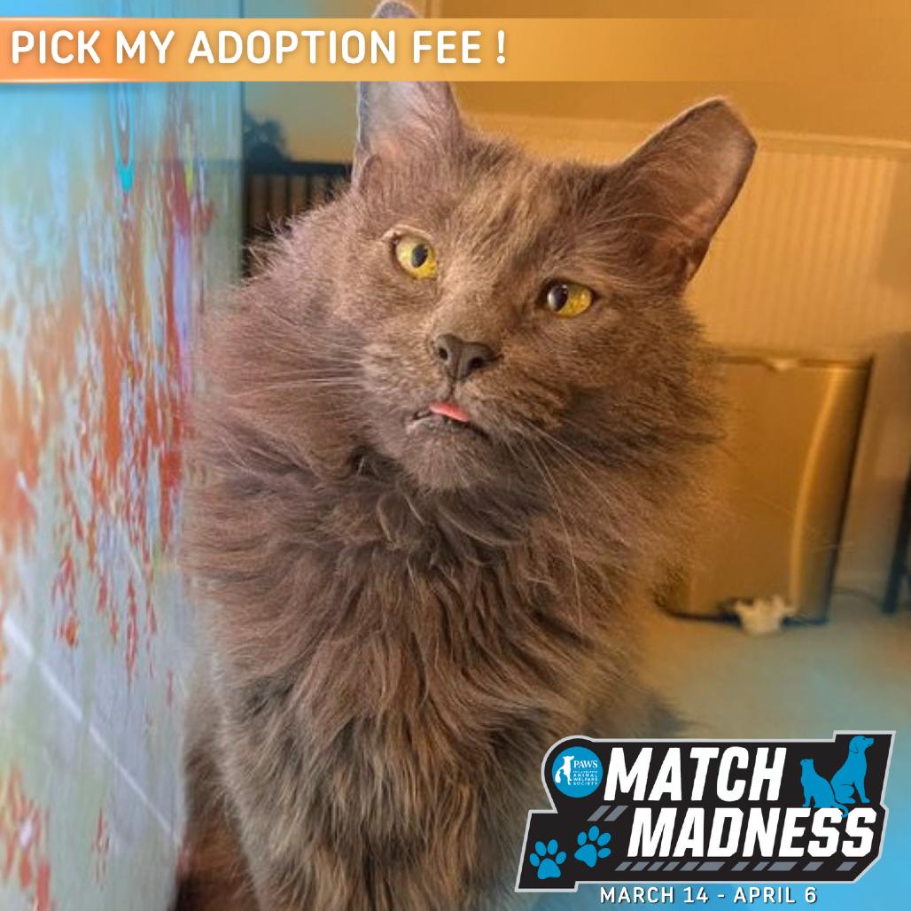 Pepper Ann — thumbnail 2