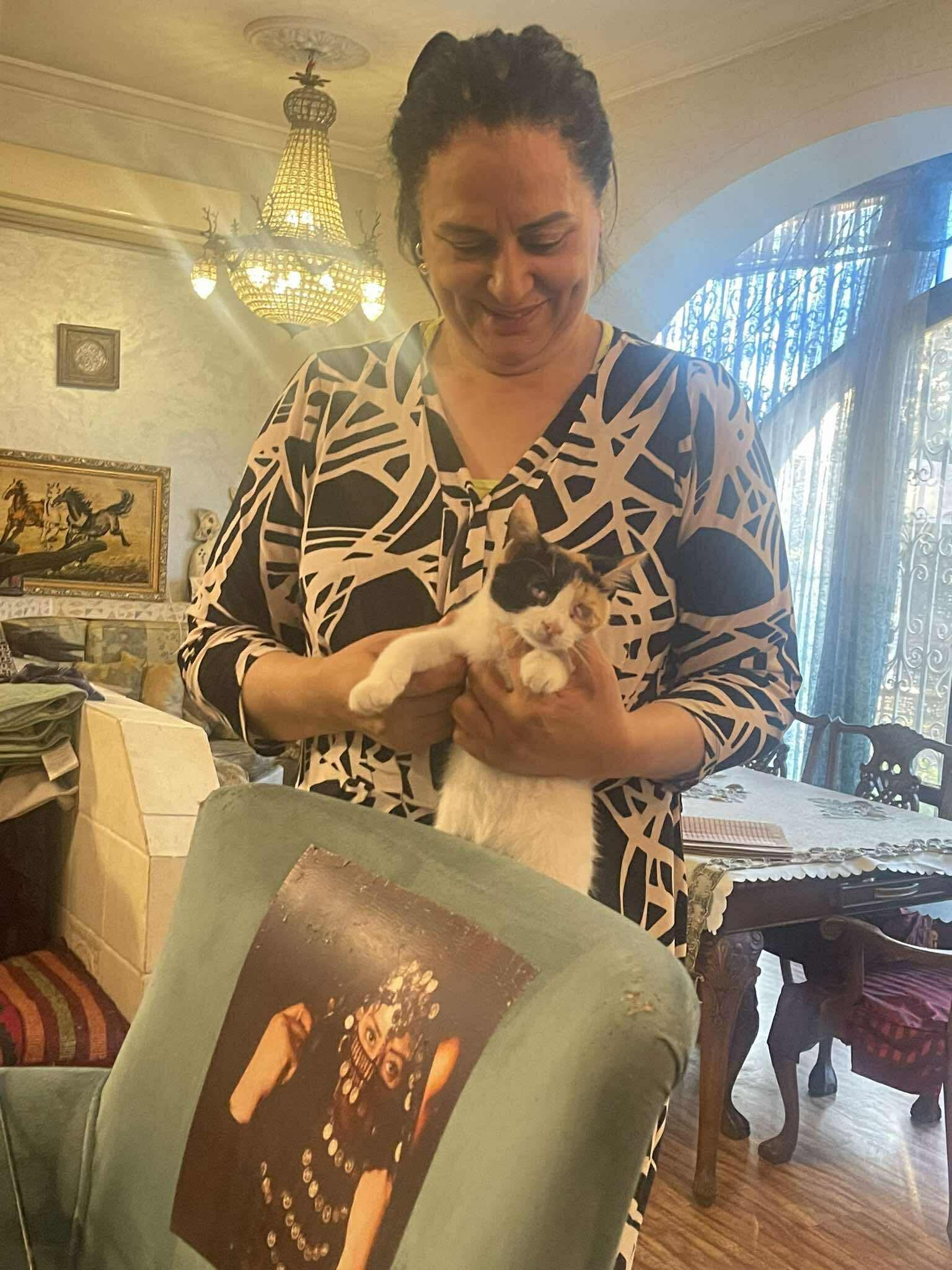 Enlarge Mercy - Blind (only 10% vision), a Adoptable Domestic Short Hair in Brampton, ON image 6/6