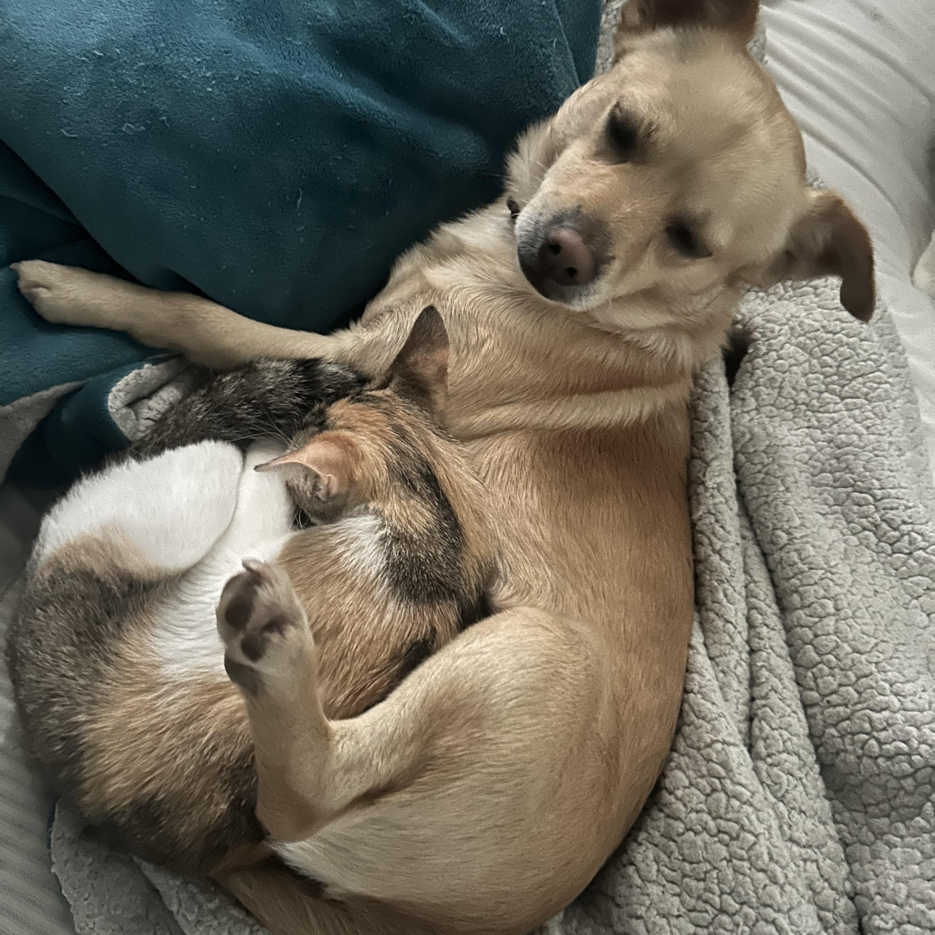 Buddy photo 1