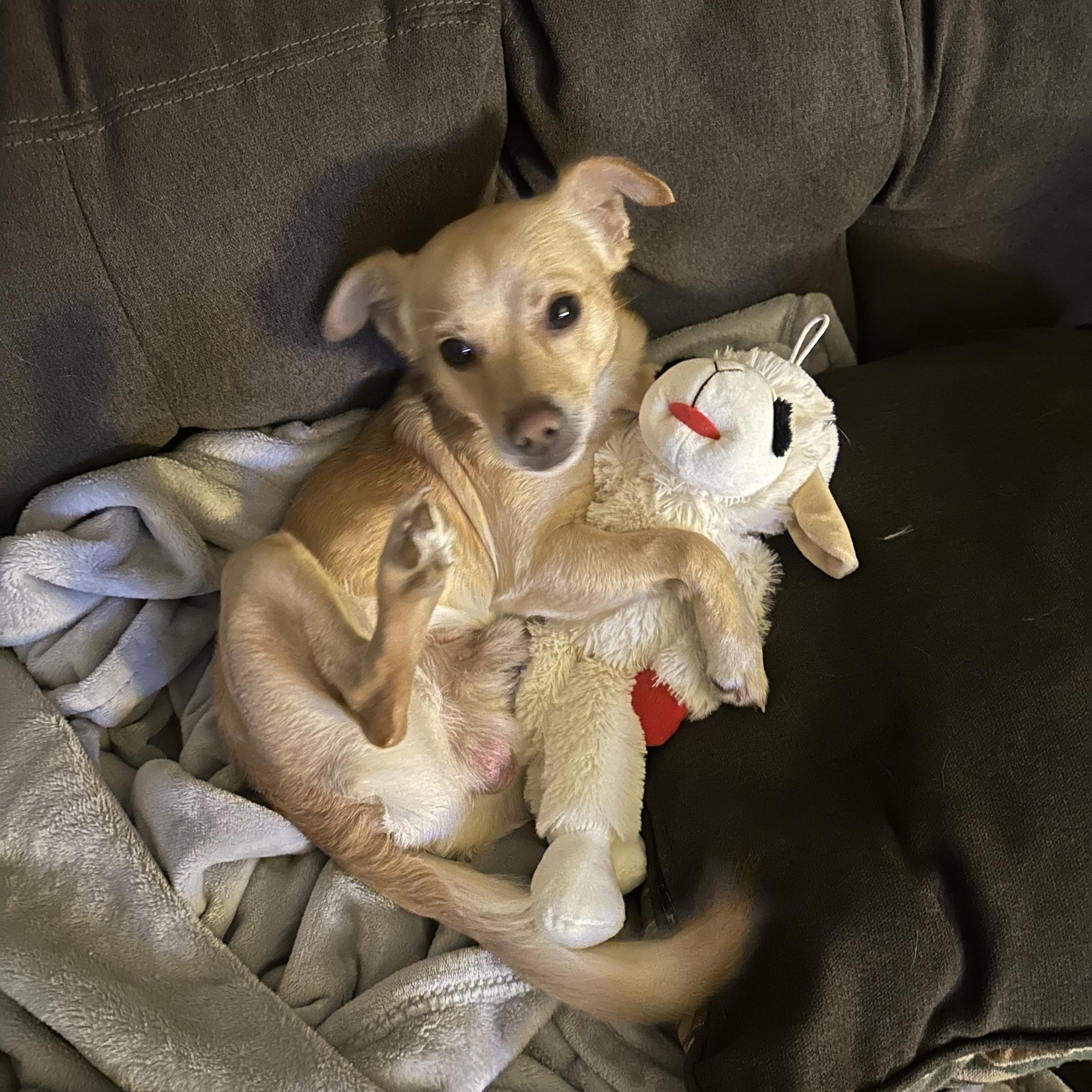 Buddy photo 3