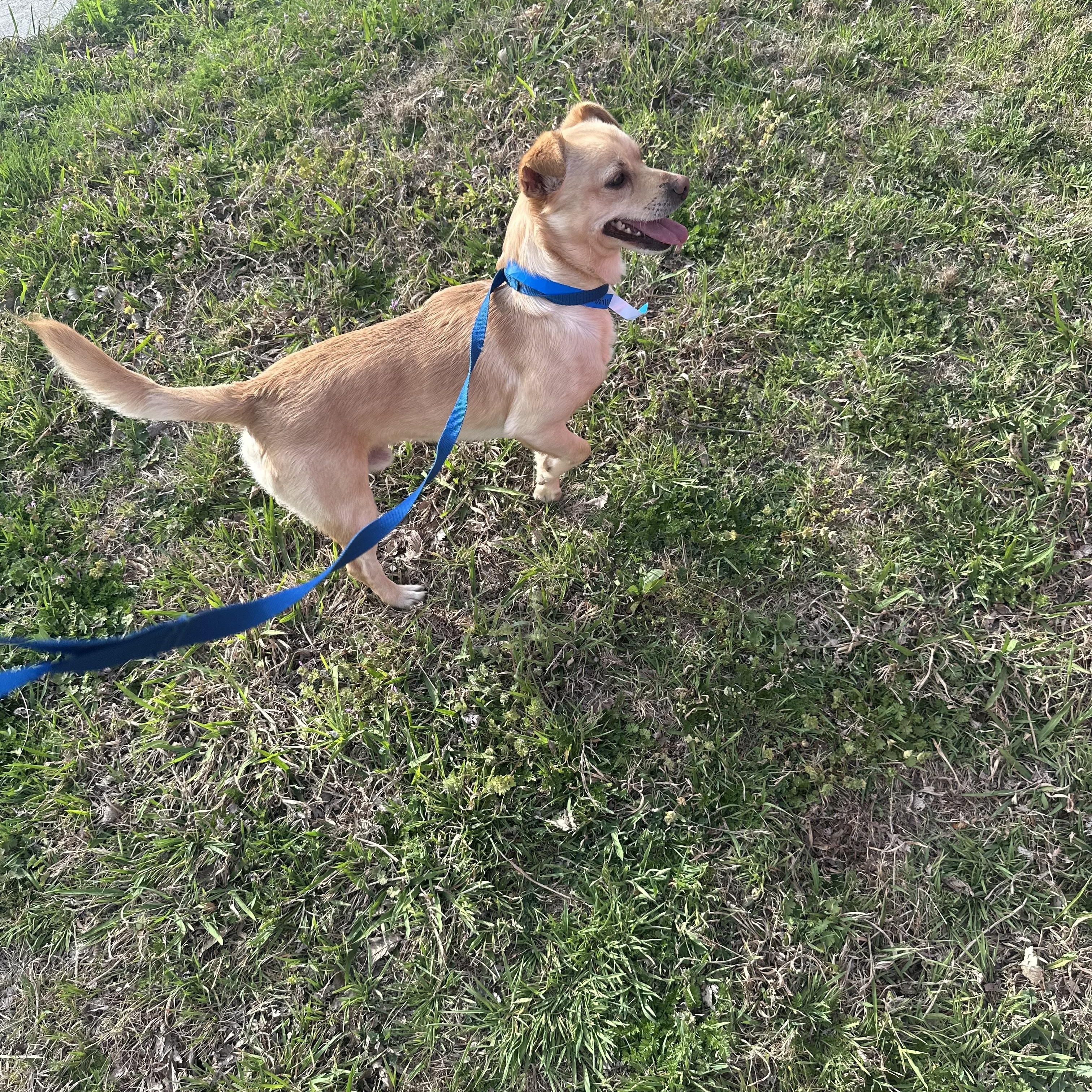 Buddy photo 4