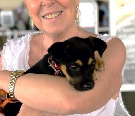 Enlarge Kola (10 lbs), a ADOPTABLE Mixed Breed in Mississauga, ON image 5/5