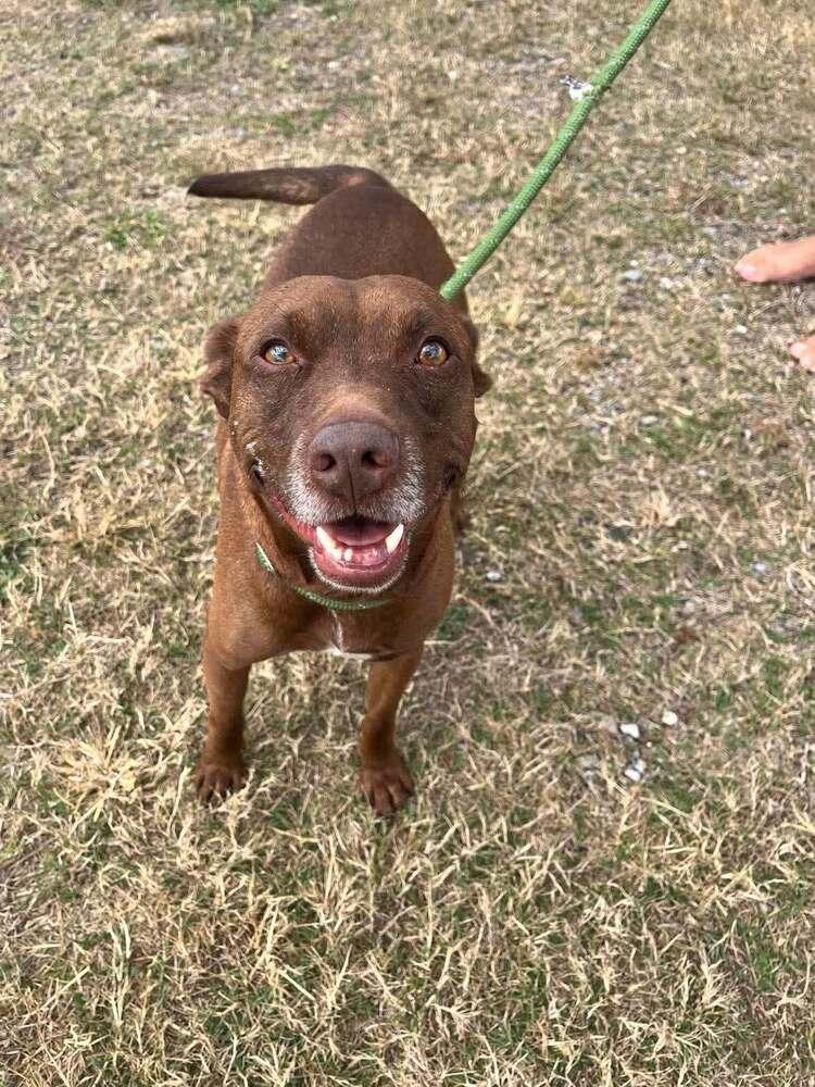 Baby Bear — thumbnail 2