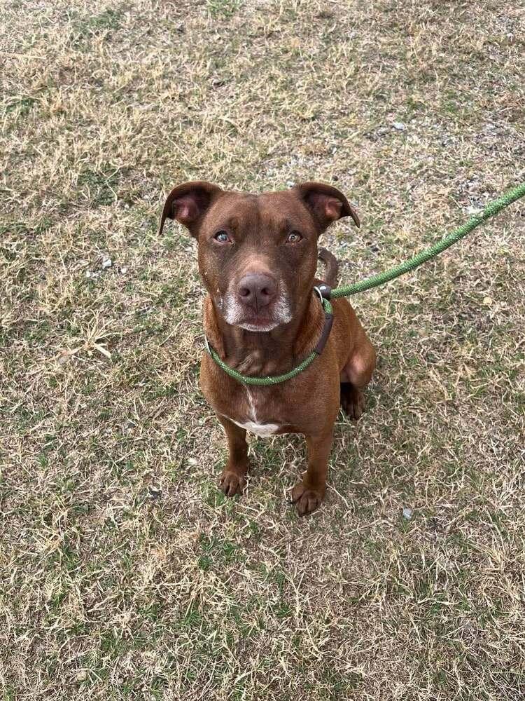 Baby Bear — thumbnail 3