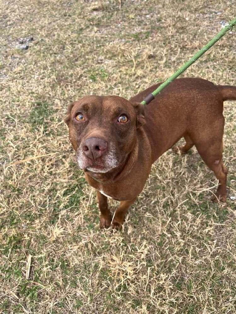 Baby Bear — thumbnail 4