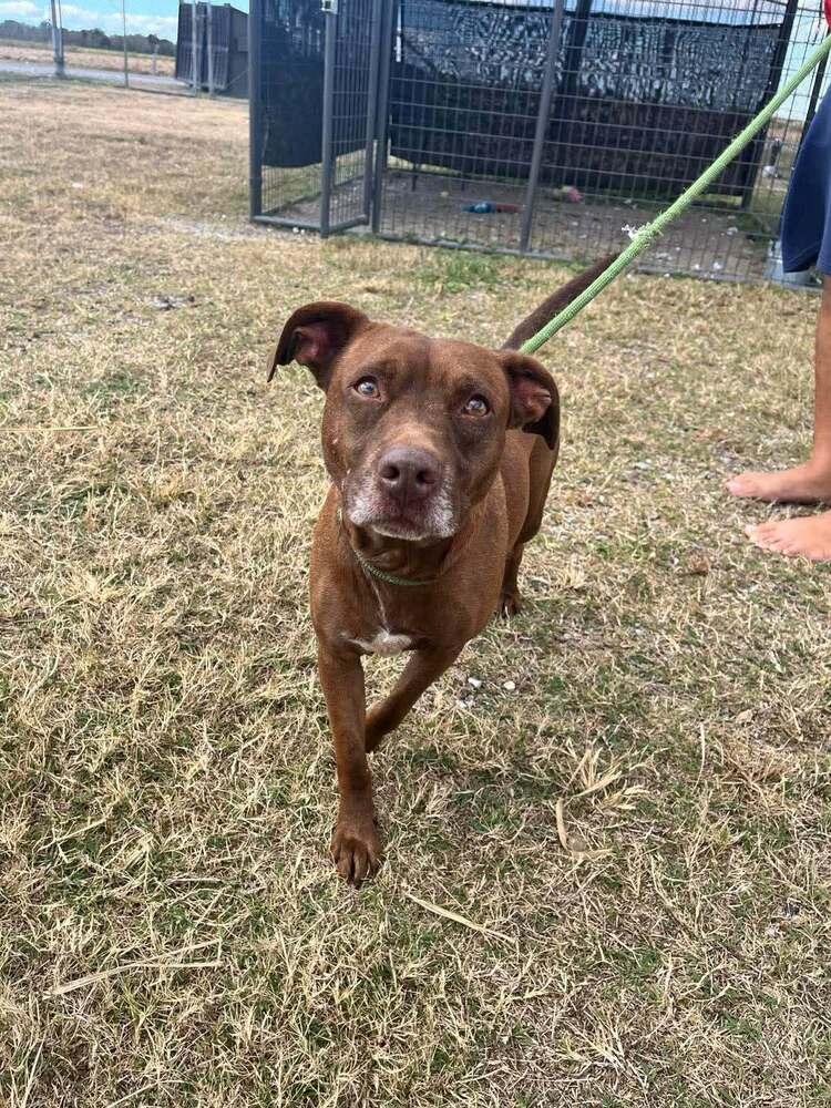 Baby Bear — thumbnail 5