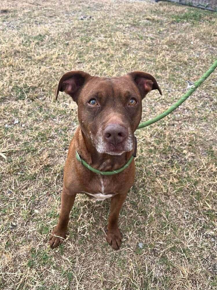 Baby Bear — thumbnail 6