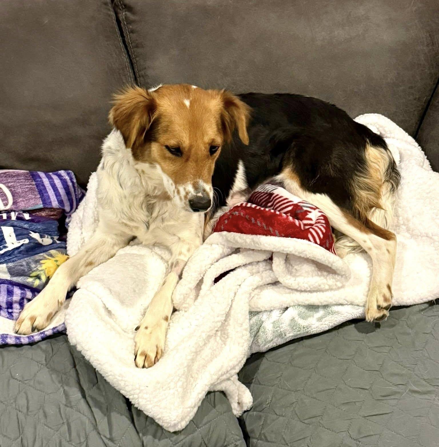 Sagemoor thumbnail 5