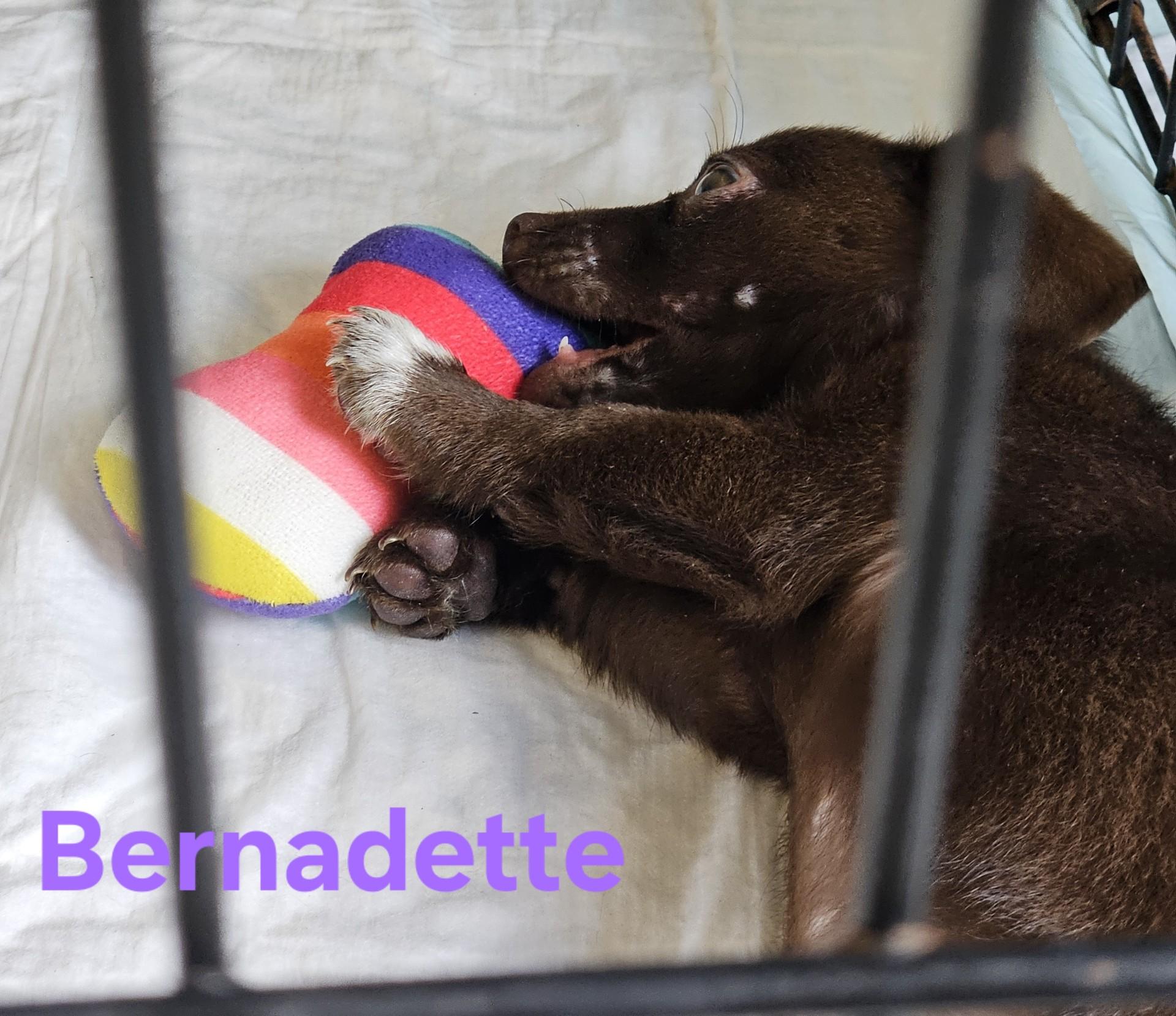 Bernadette photo 4