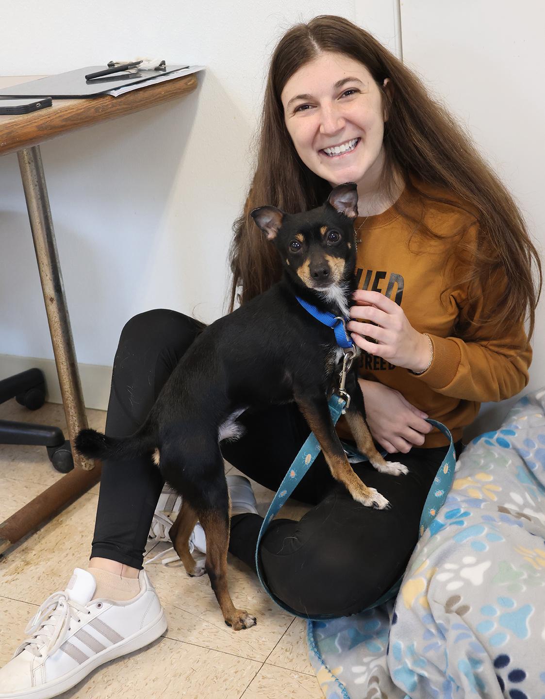 Enlarge Ace, a ADOPTABLE Miniature Pinscher in Harrison, NY image 6/6