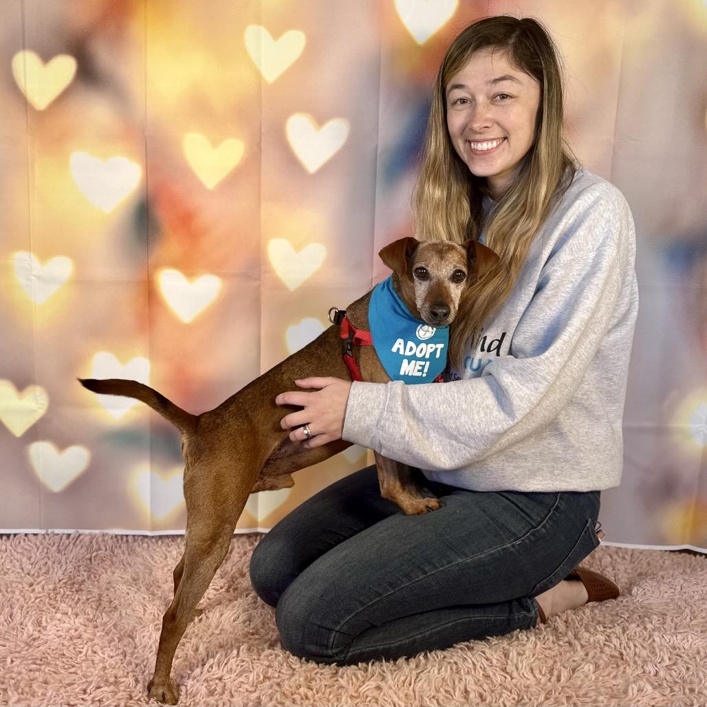 Mighty Joe, a Adoptable mixed breed in Pacific Grove, CA image 4/6