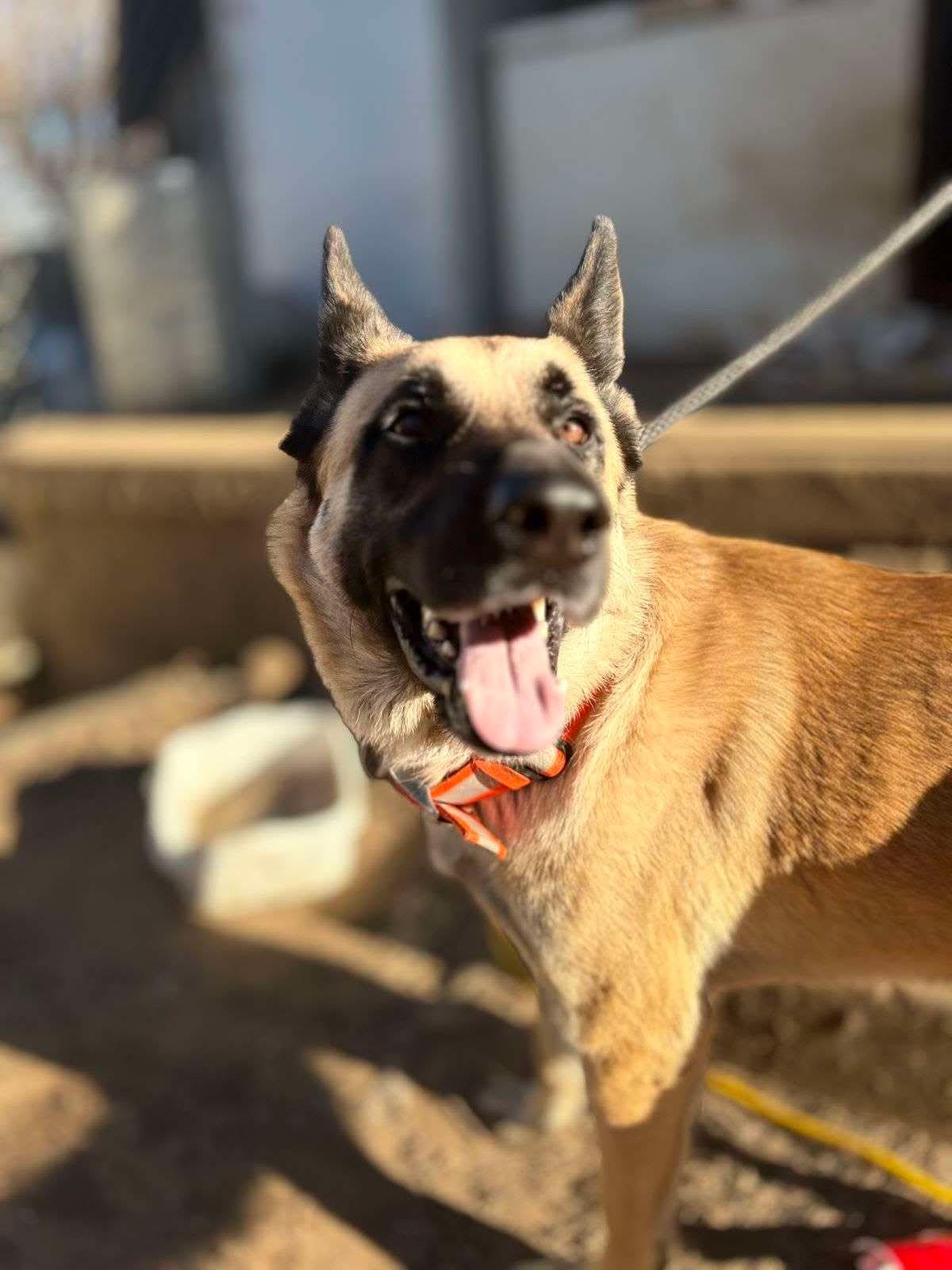 Remi