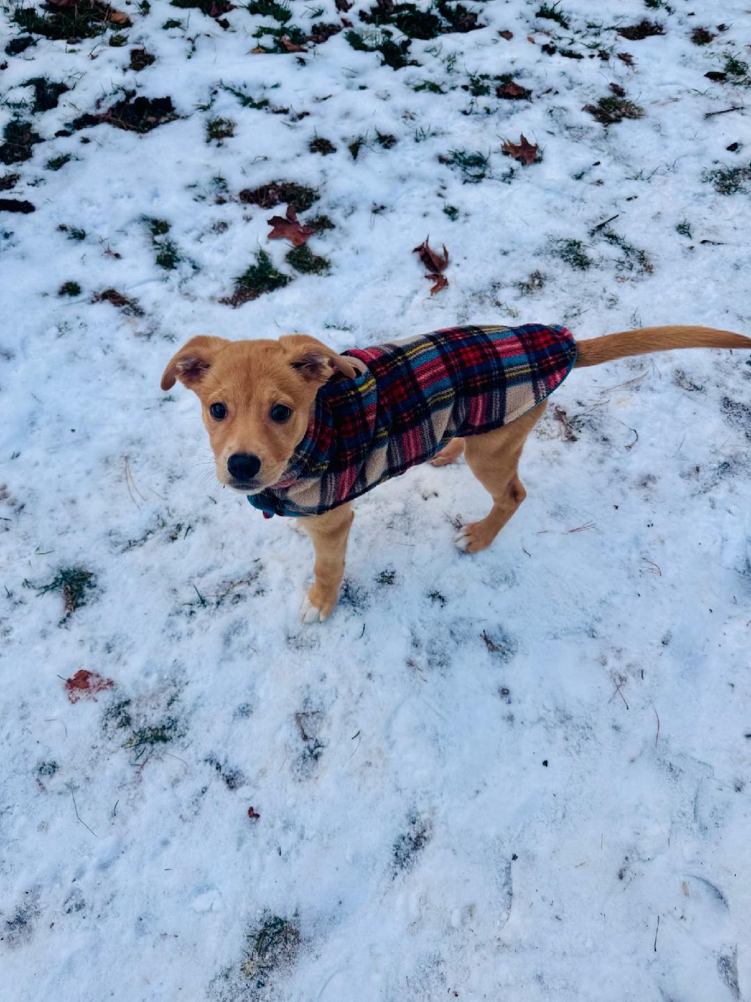 Stella Grace thumbnail 2