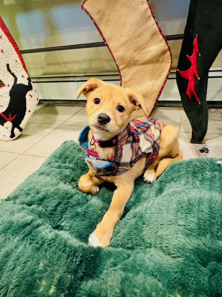 Stella Grace thumbnail 3