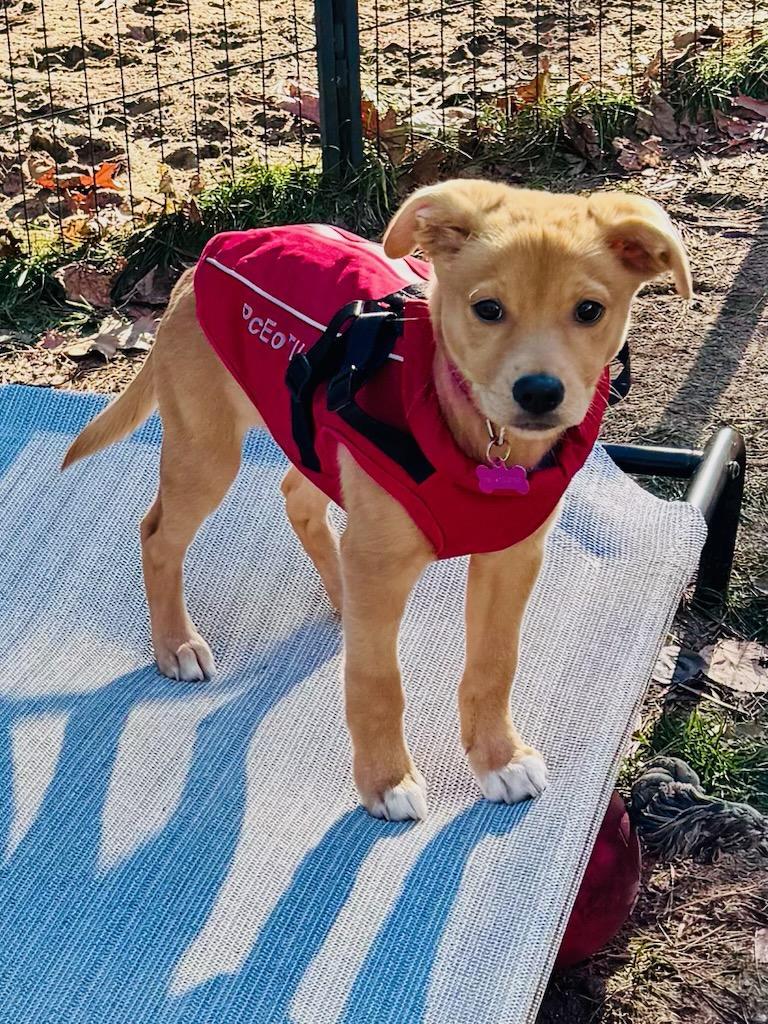 Stella Grace thumbnail 4