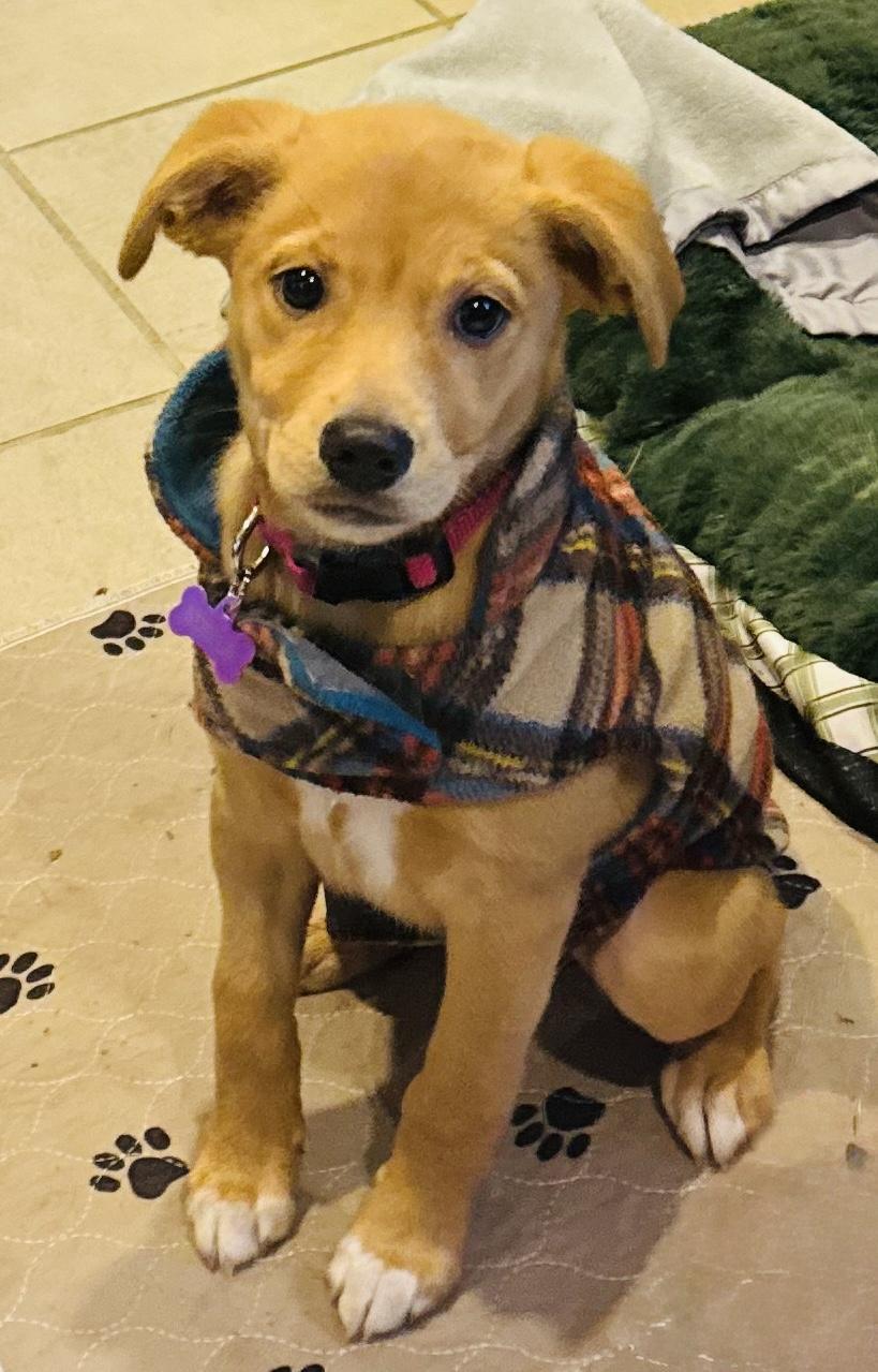 Stella Grace thumbnail 5