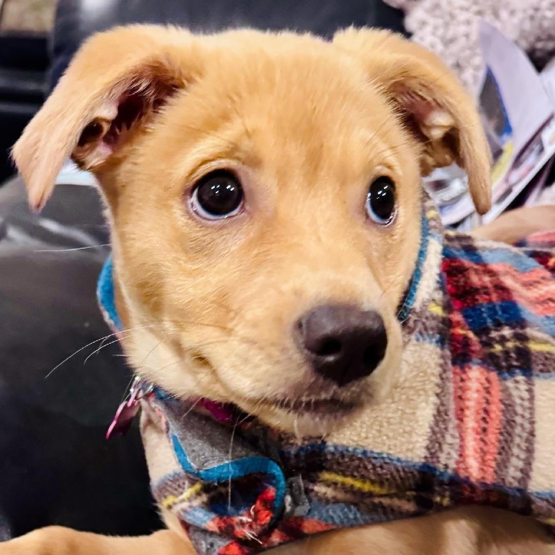 Stella Grace thumbnail 6