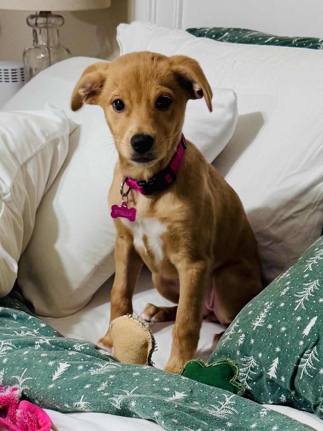 Stella Grace thumbnail 7