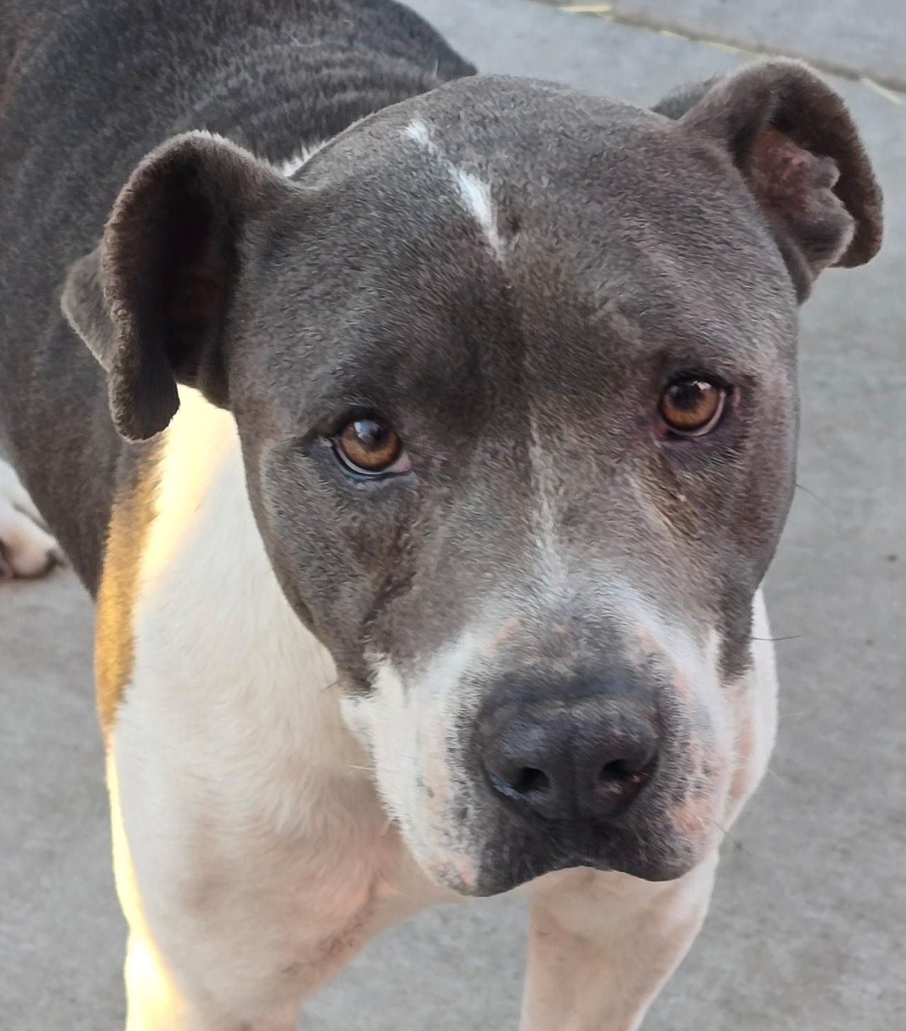 Markus — thumbnail 2