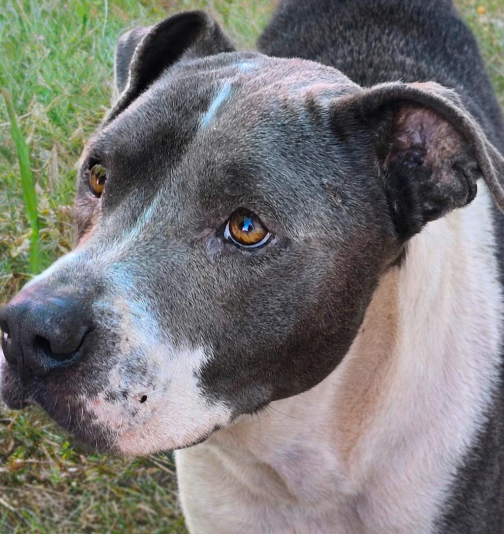 Markus — thumbnail 3