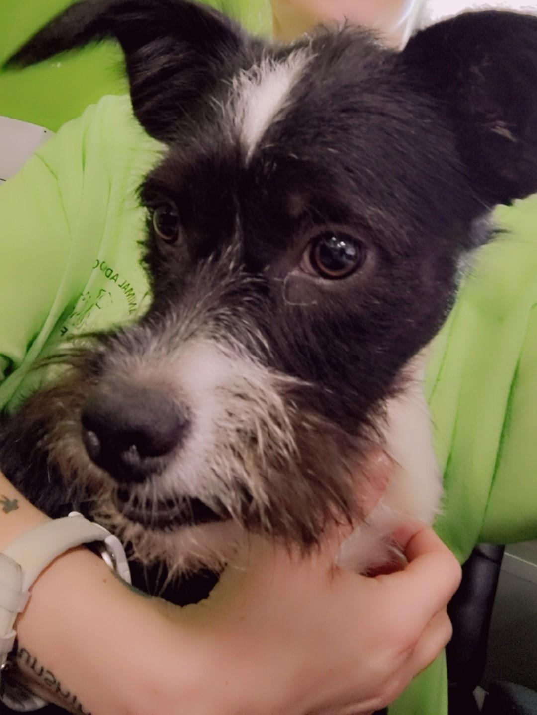 Barkley Fcd thumbnail 2