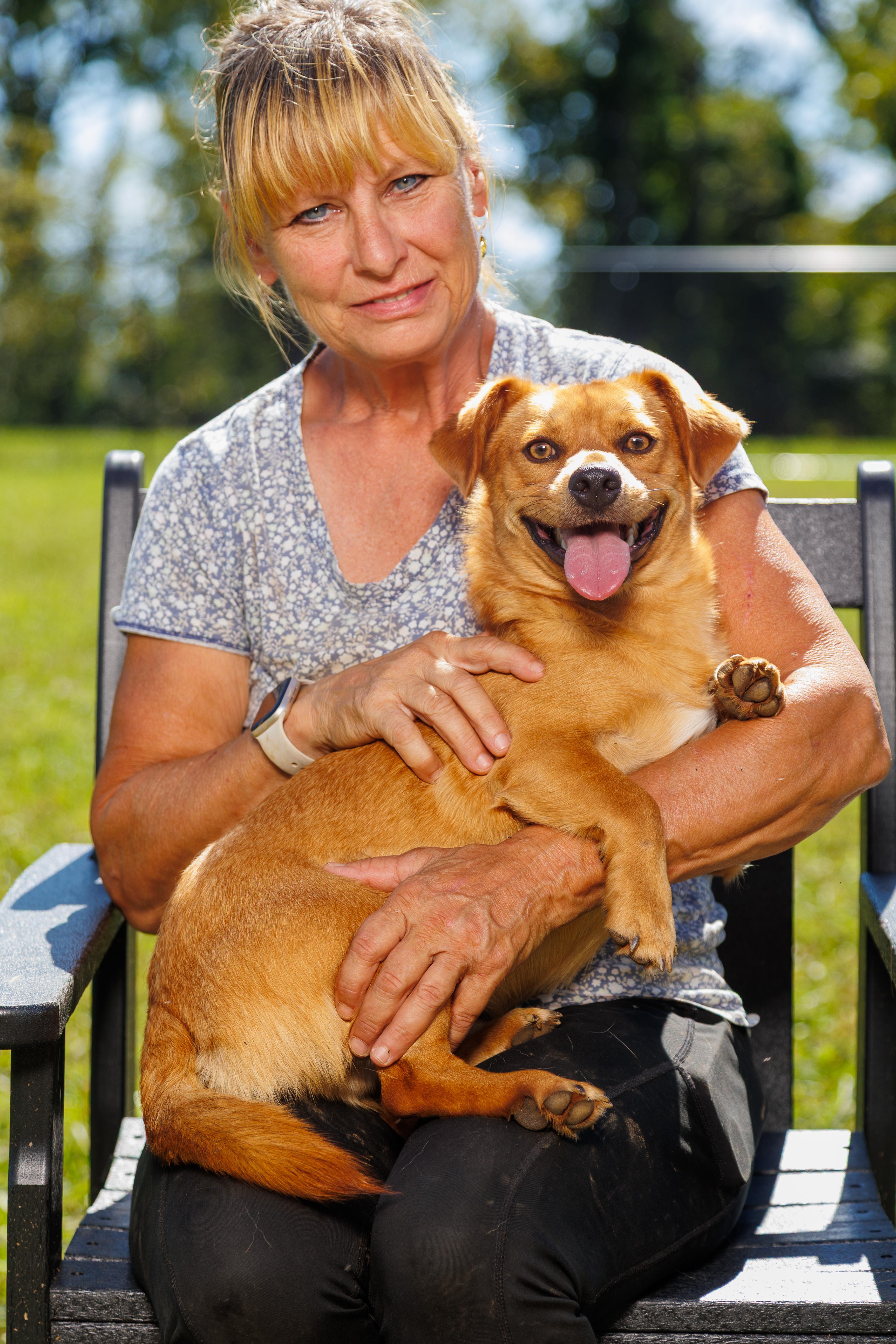 Enlarge Kirk, a Adoptable mixed breed in Chester Springs, PA image 1/3