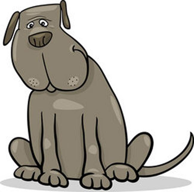 BIG DOG FOSTERS NEEDED! photo 3
