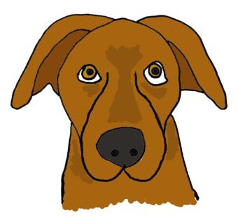 BIG DOG FOSTERS NEEDED!, a Adoptable mixed breed image 3/6