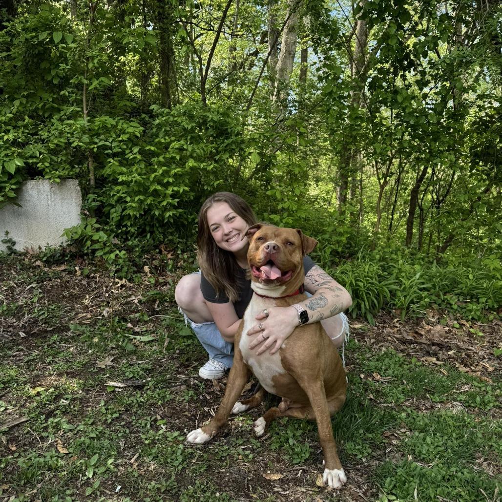 Enlarge Fisher, a Adoptable Mixed Breed in Edwardsville, IL image 5/6