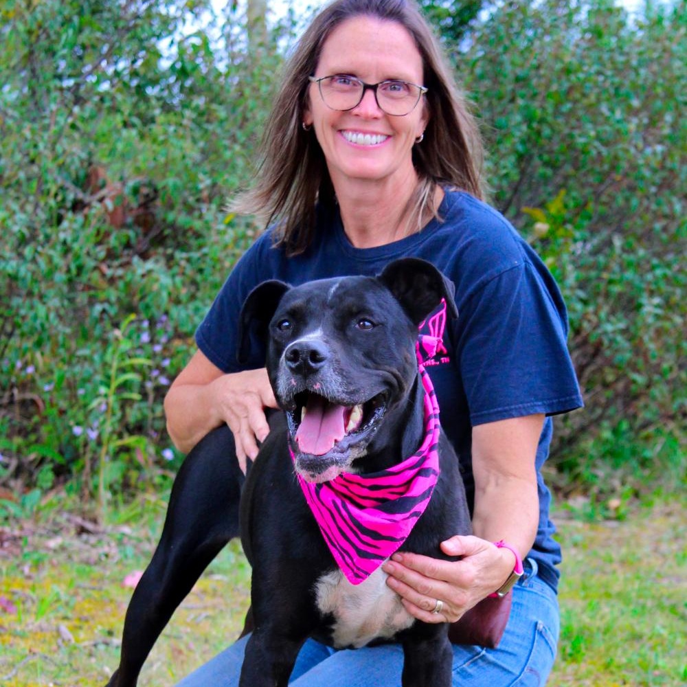 Luna, a Adoptable Mixed Breed in Cheboygan, MI image 3/6