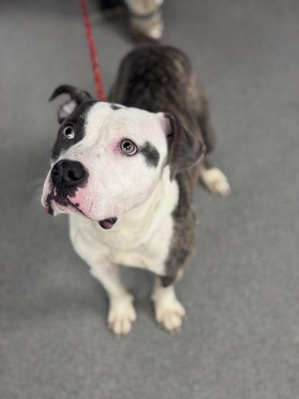 Lunie — thumbnail 2