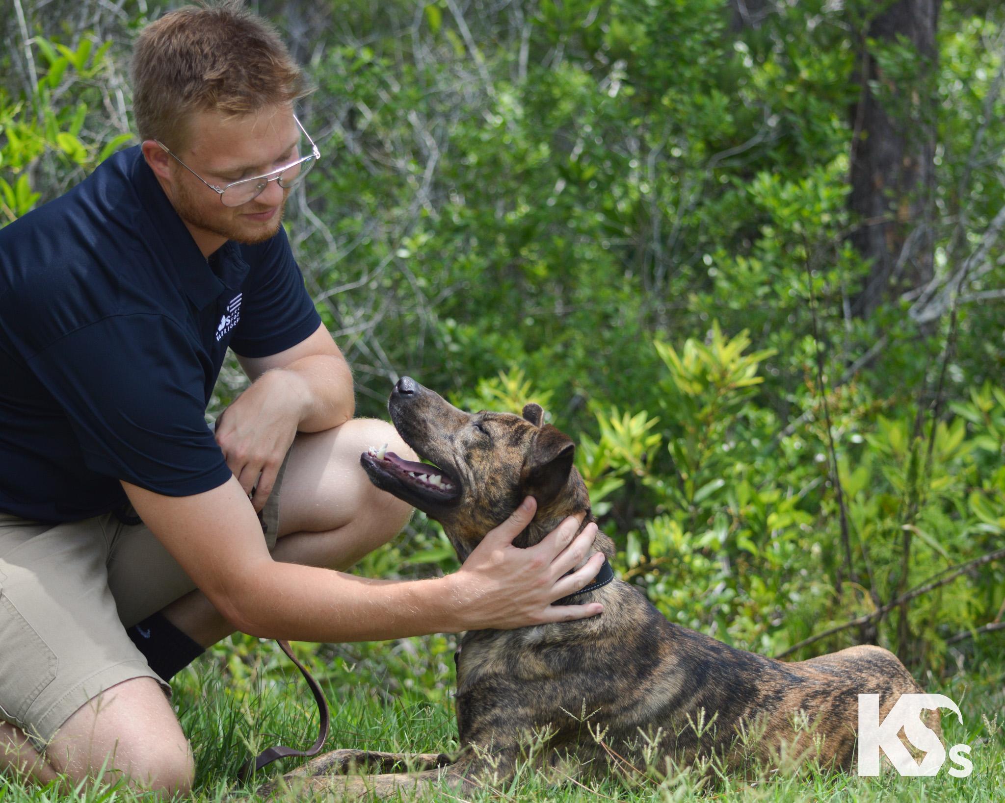 Zara, an adopted mixed breed in Ponte Vedra, FL image 5/5